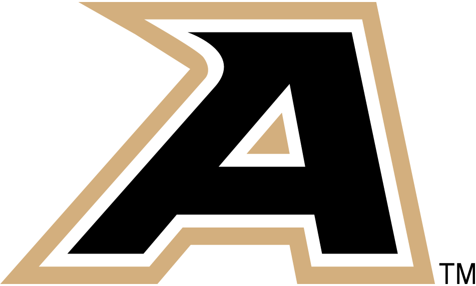 Army Black Knights 2006-2014 Secondary Logo iron on transfers for fabric